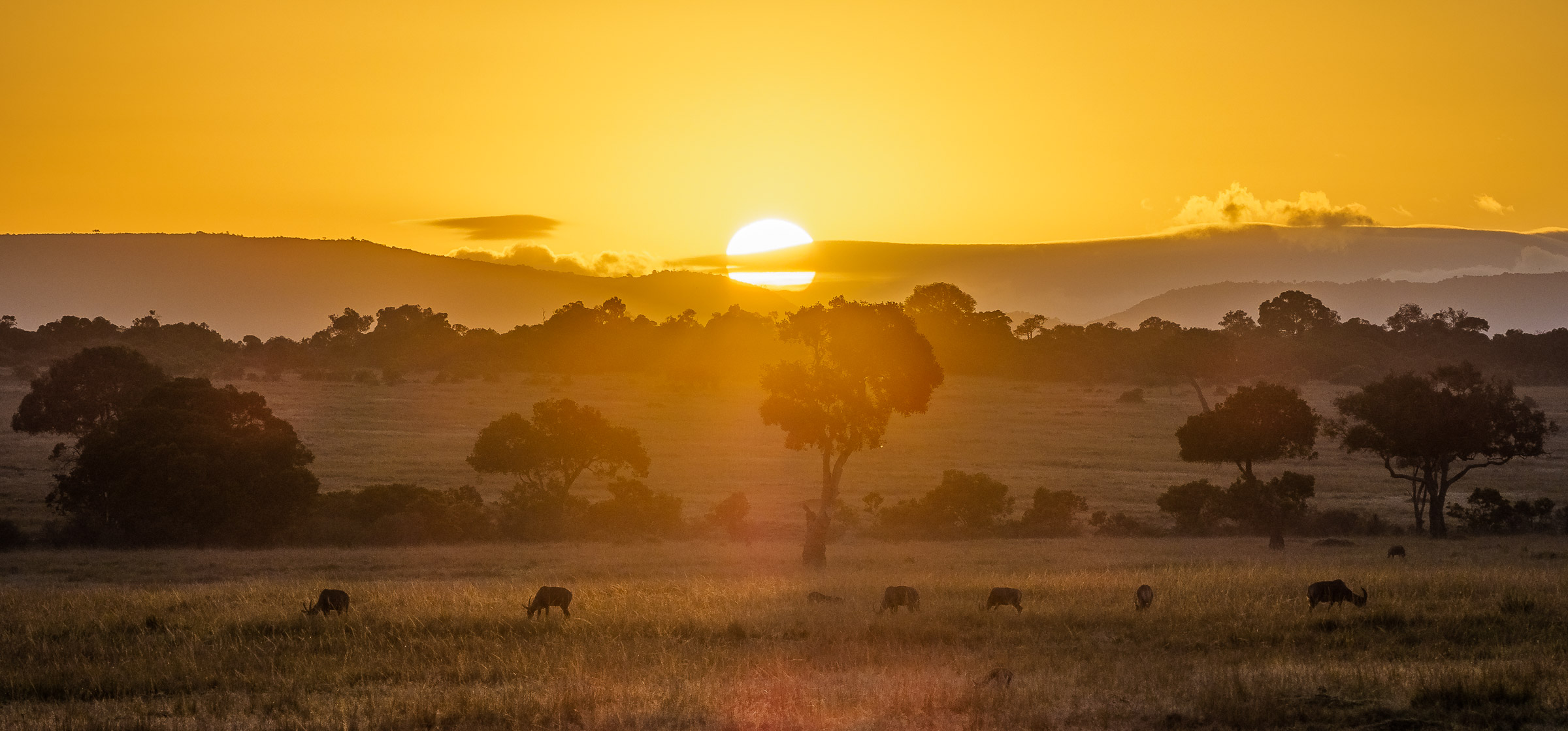Sunrise over the Maasai Mara